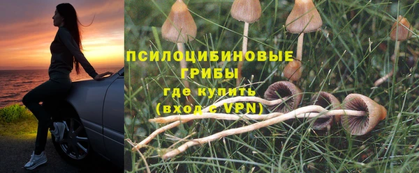 прущая мука Нефтекумск