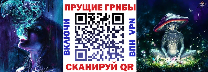 Галлюциногенные грибы Psilocybine cubensis  купить наркотик  omg рабочий сайт  Калининец 