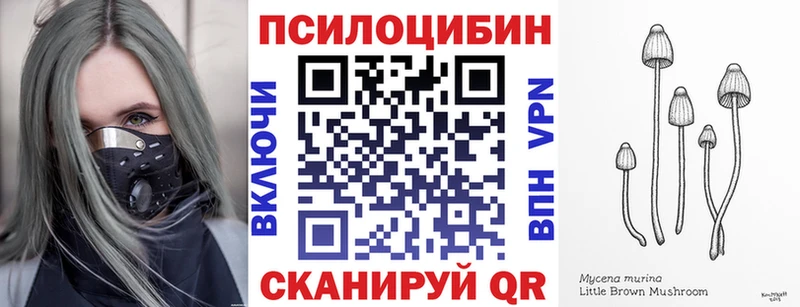 Псилоцибиновые грибы прущие грибы Калининец